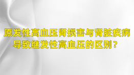 原发性高血压肾损害与肾脏疾病导致继发性高血压的区别？