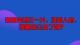 眼睛突然红一片，挺吓人的，是眼底出血了吗？