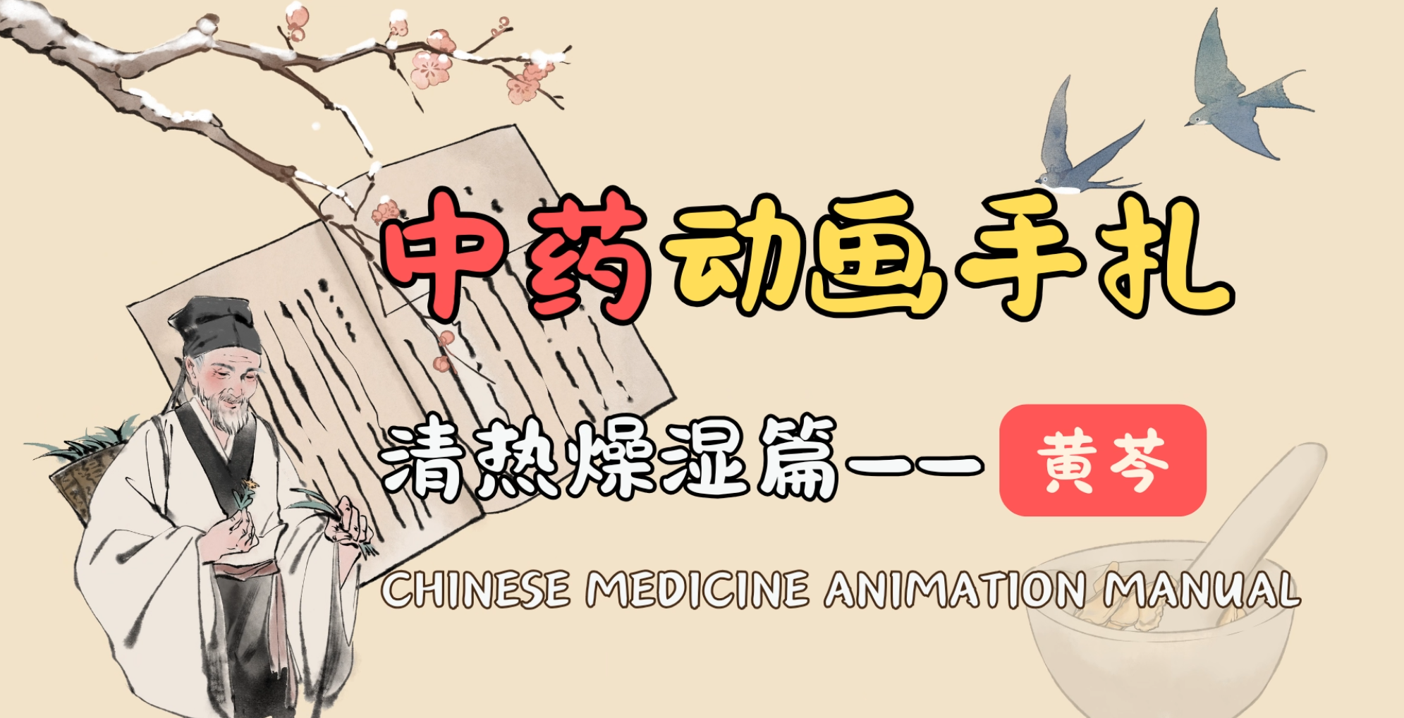 中药动画手札 清热燥湿篇——黄芩