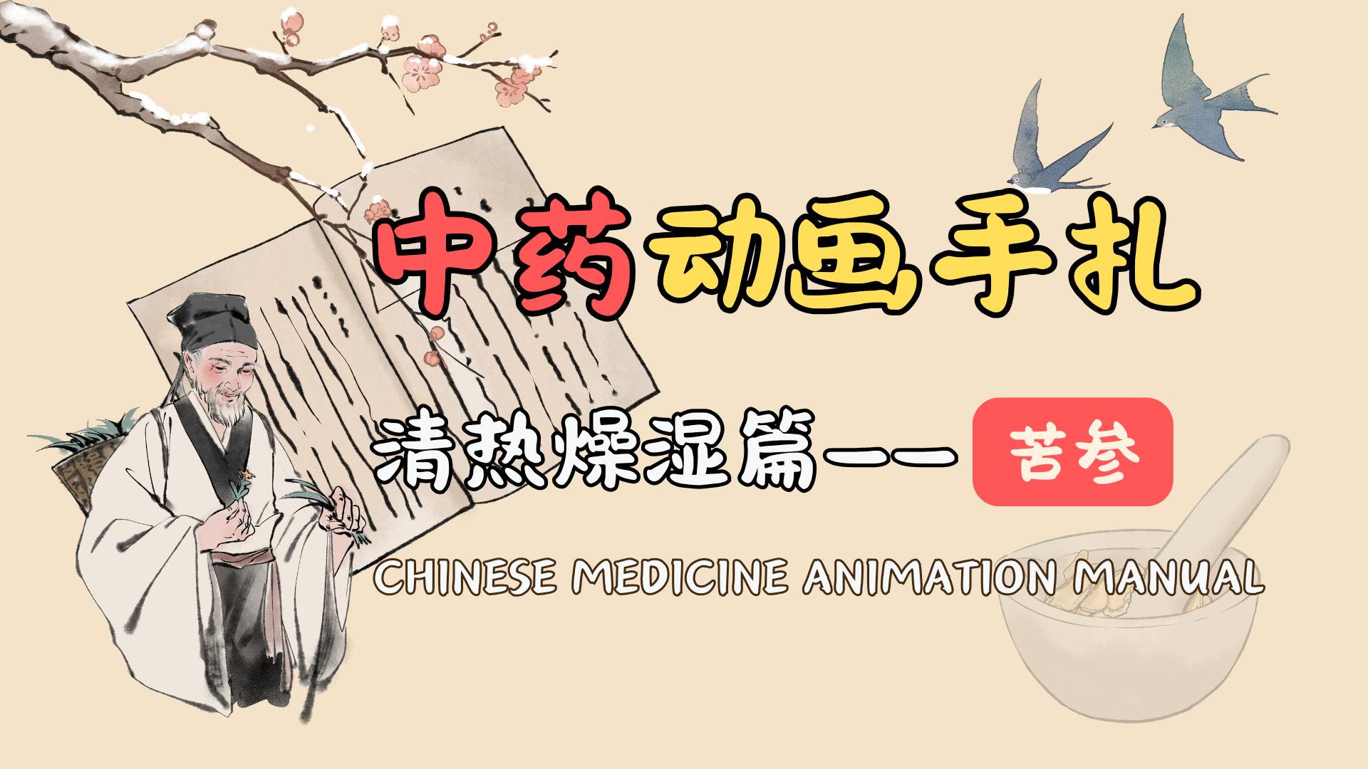中药动画手札 清热燥湿篇——苦参