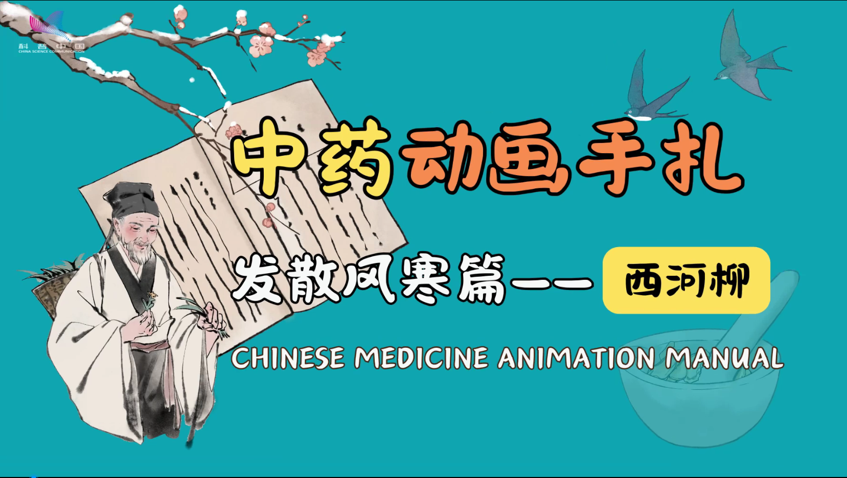 中药动画手札 发散风寒篇——西河柳
